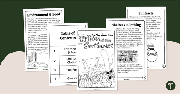 Native Americans of the Southwest Mini Book teaching resource