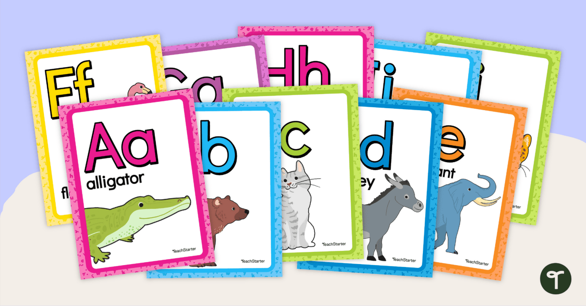 Rainbow Alphabet Display - Animals teaching resource