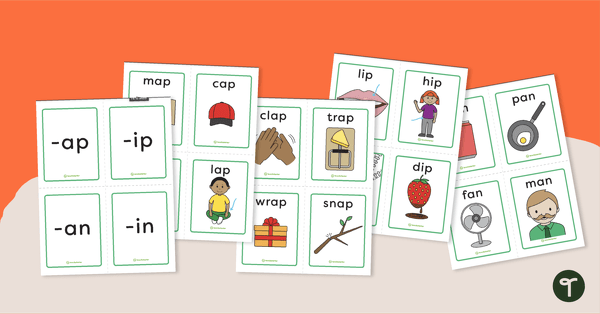 Go to Word Family Sorting Cards teaching resource