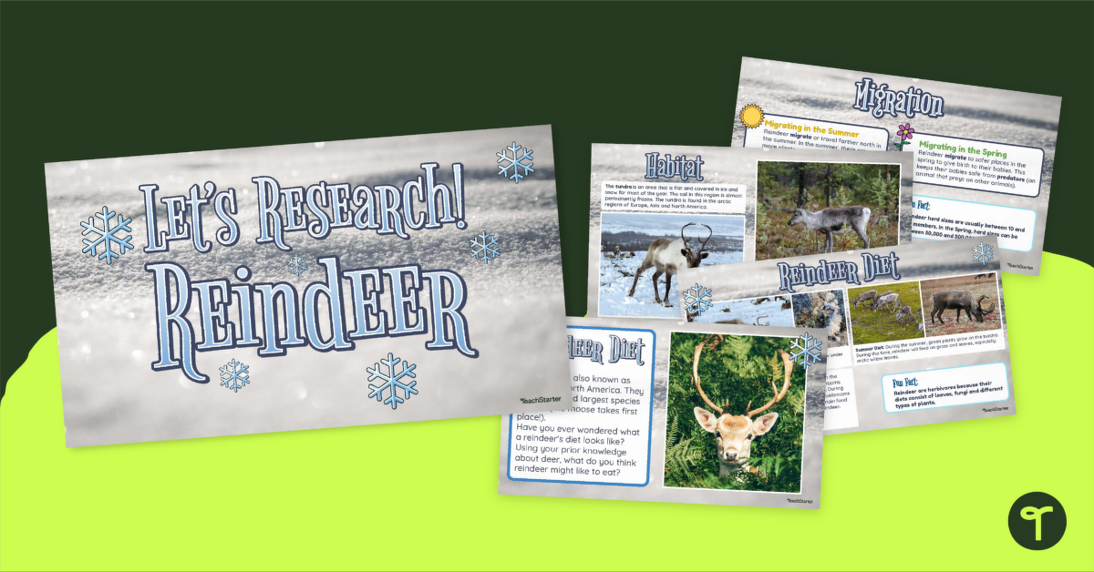 Let's Research! Reindeer Facts for Kids PowerPoint teaching resource
