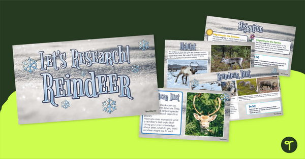Go to Let's Research! Reindeer Facts for Kids PowerPoint teaching resource