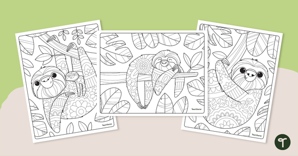 Sloth Mindfulness Coloring Pages teaching resource