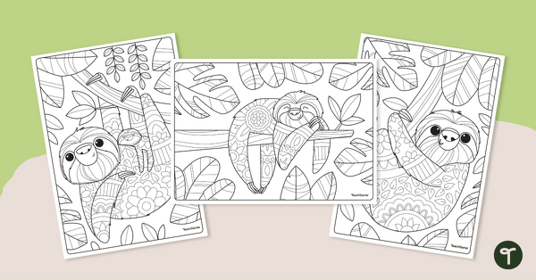 Go to Sloth Mindfulness Colouring Pages teaching resource