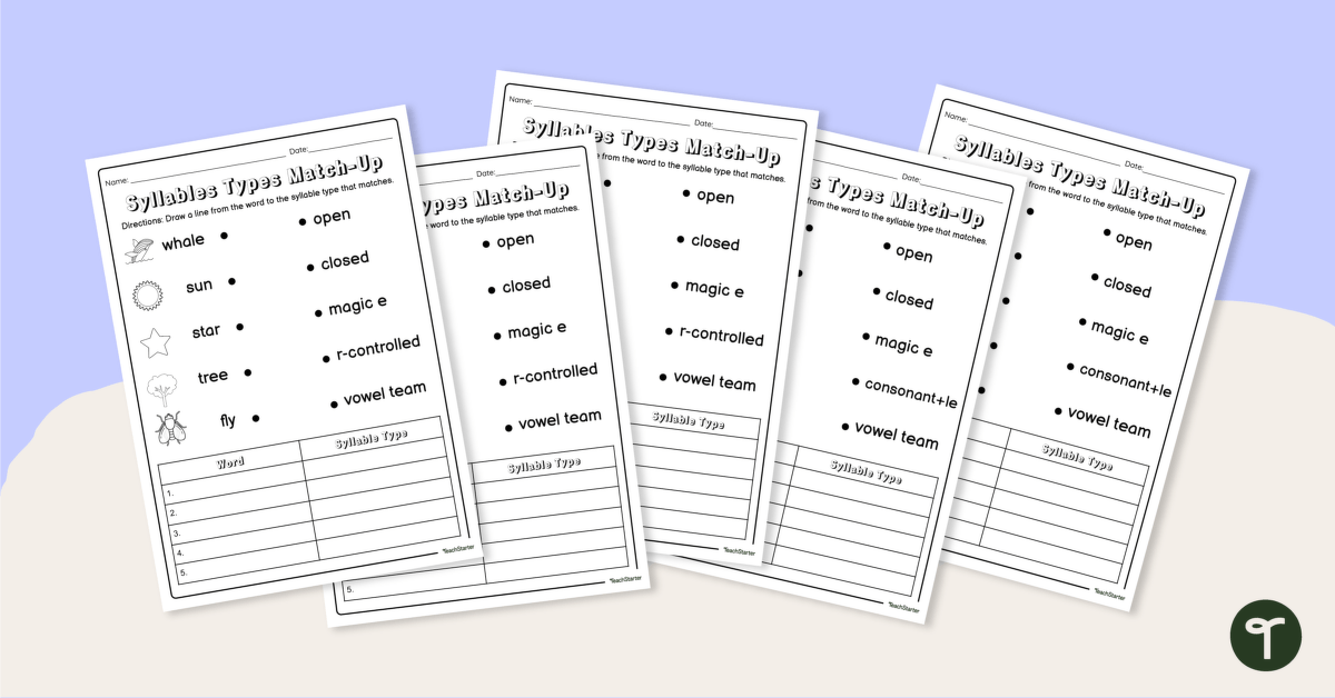 Syllable Types Match-Up Worksheets teaching resource