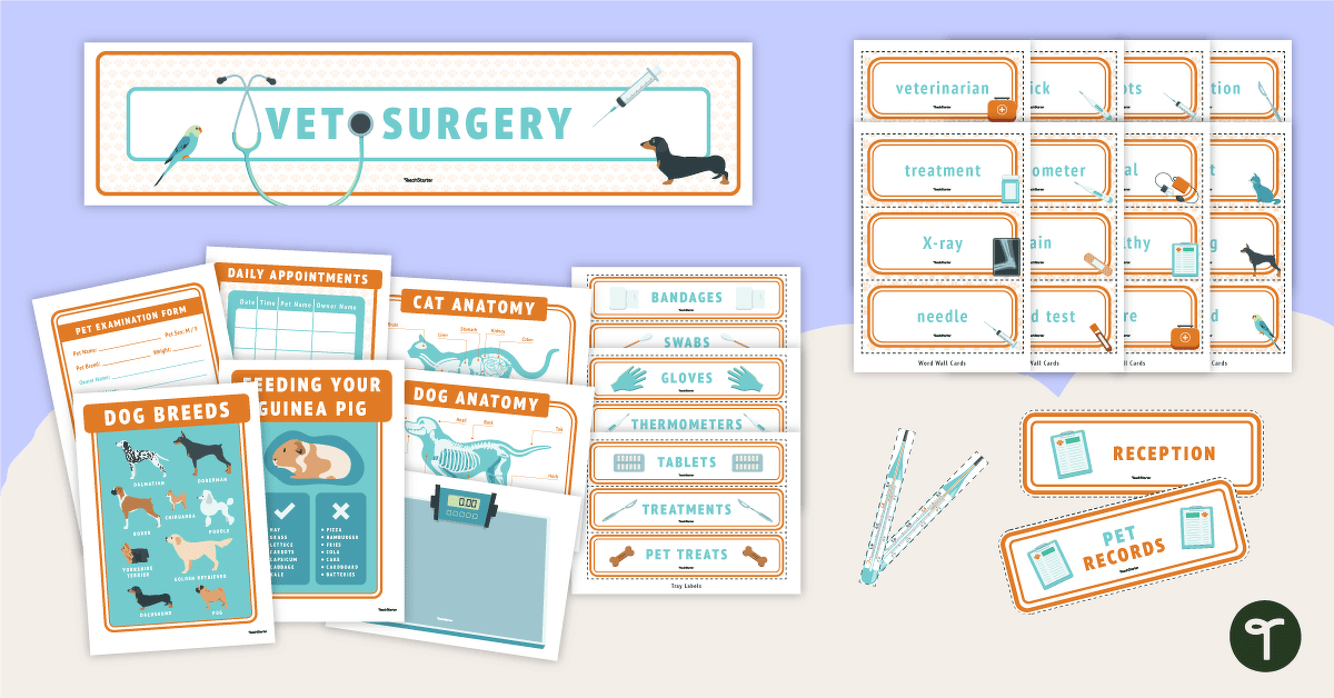 Vet's Surgery Imaginative Play Printable Display teaching resource