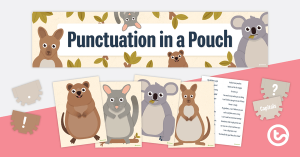 Punctuation in a Pouch teaching resource