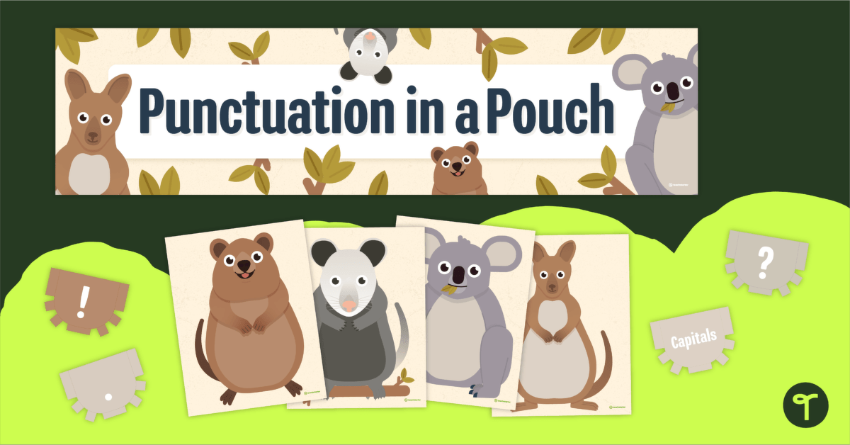 Punctuation in a Pouch teaching resource