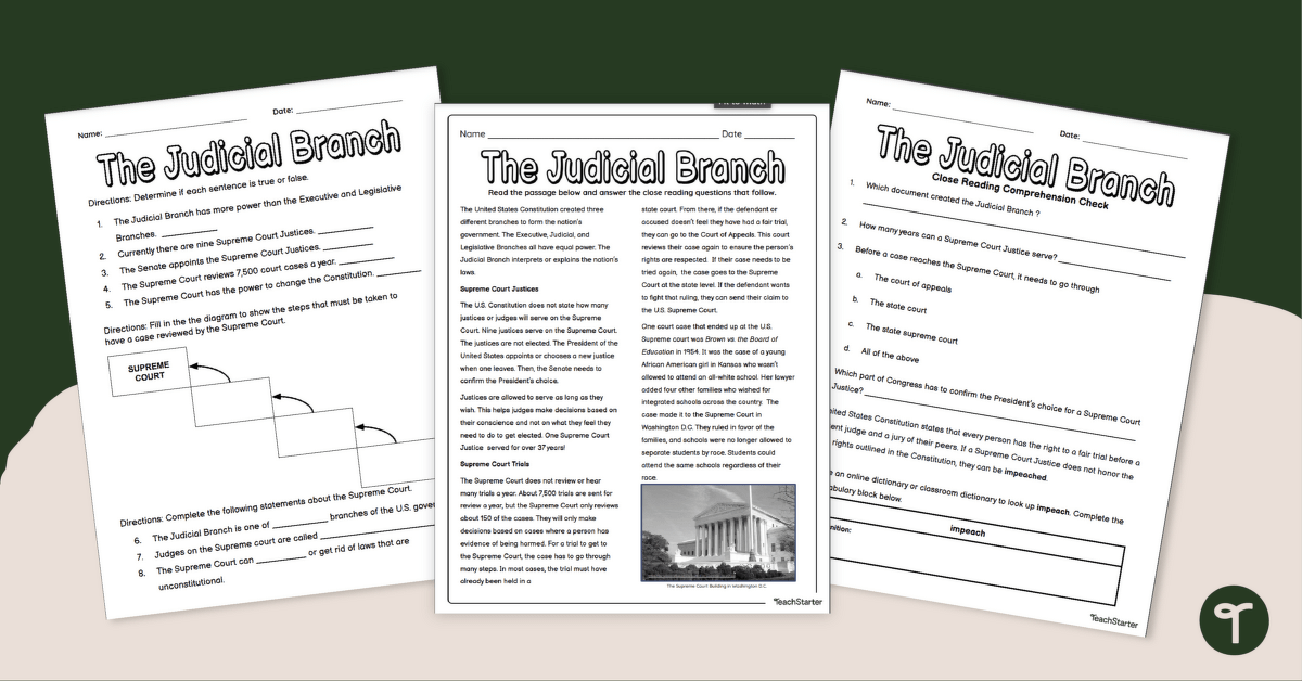 The Judicial Branch - Roles of Government Worksheet Pack teaching resource
