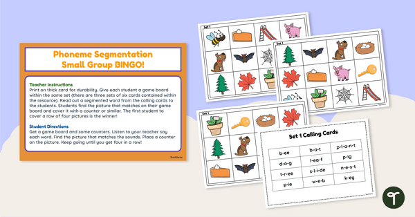 Go to Phoneme Segmentation Bingo teaching resource