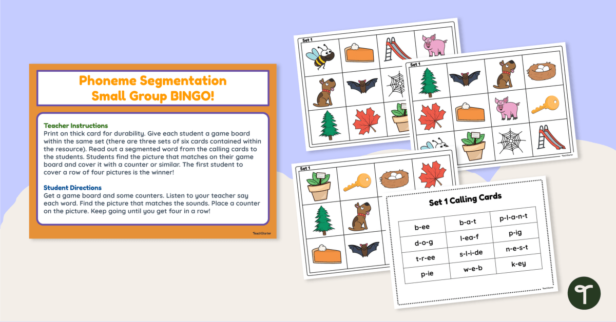 Phoneme Segmentation Bingo - Printable Phonics Game teaching resource