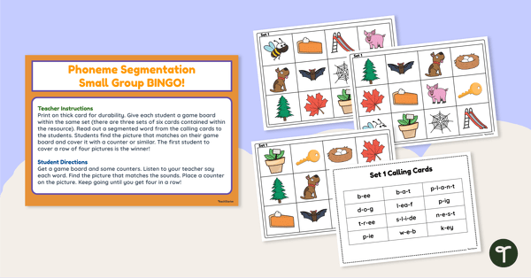 Go to Phoneme Segmentation Bingo - Printable Phonics Game teaching resource