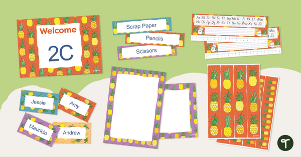 Go to Pineapples Classroom Theme Pack resource pack
