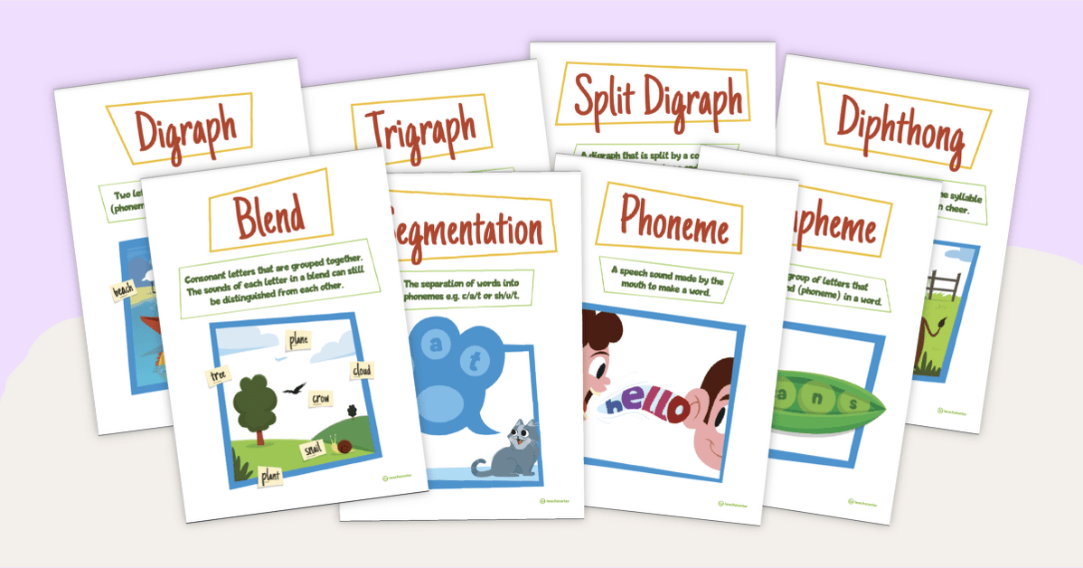 Phonics Vocabulary Poster Pack teaching resource