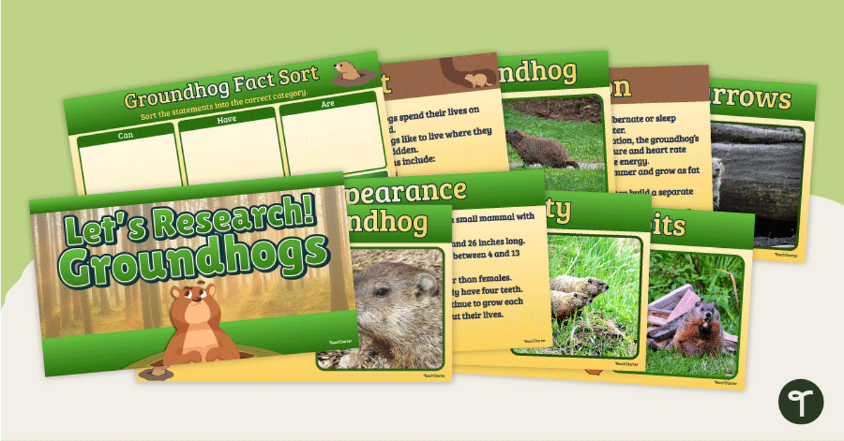 All About Groundhogs - Instructional Slide Deck teaching resource
