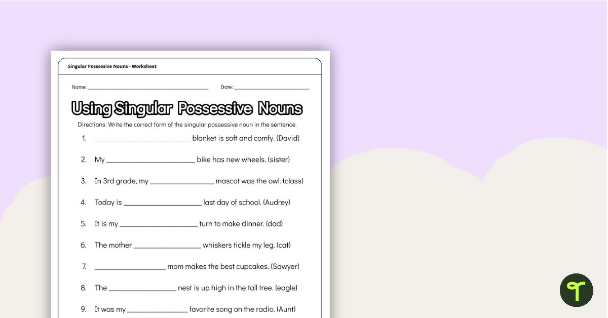 Singular Possessive Nouns Worksheet teaching resource