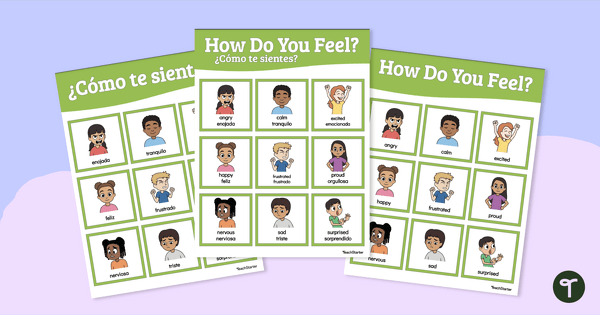 Image of Emotions in Spanish Anchor Chart