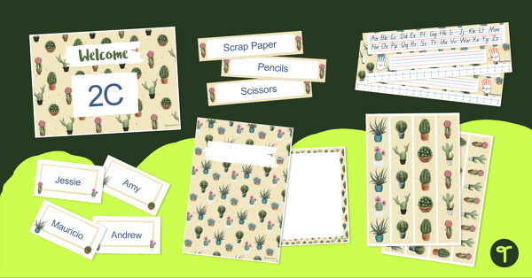 Go to Cactus Classroom Theme Pack resource pack