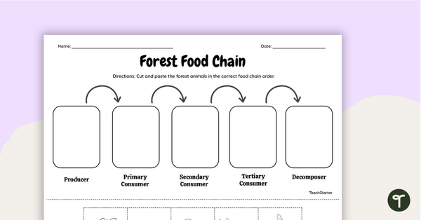 Forest Food Chain – Cut and Paste Worksheet | Teach Starter