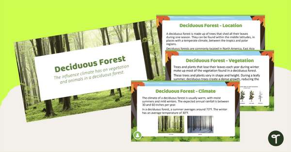 Deciduous Forest Biome Slide Deck teaching resource