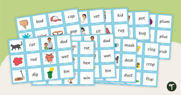 Image of CVC/CCVC/CVCC Word Flashcards