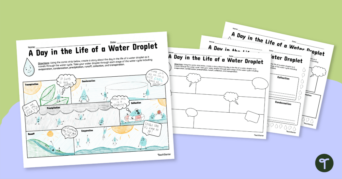 A Day in the Life of a Water Droplet – Comic Strip Templates teaching resource