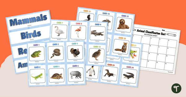 Animal Classification Sort teaching resource
