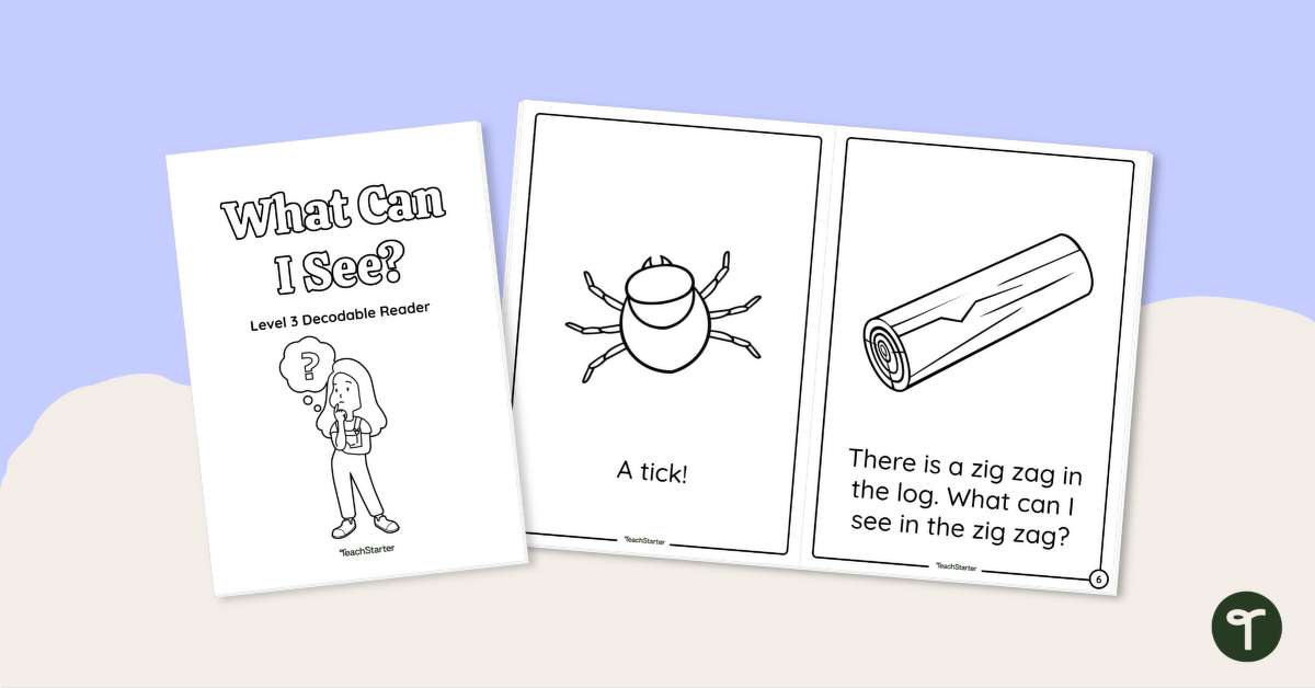 What Can I See? - Decodable Reader (Level 3) teaching resource