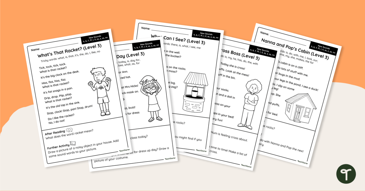 Level 3 Decodable Readers - Worksheet Pack teaching resource