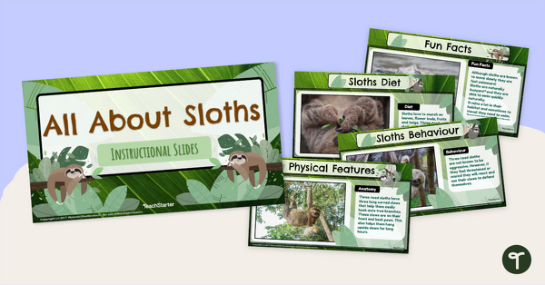All About Sloths Teaching PowerPoint teaching resource