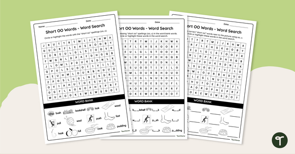 Go to Short OO Words - Word Search teaching resource