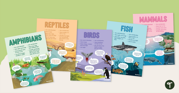 Animal Classification Posters teaching resource