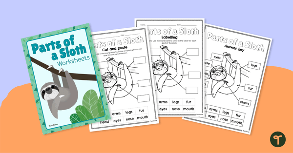 Sloth Facts for Kids Worksheet - Labeling Activity teaching resource