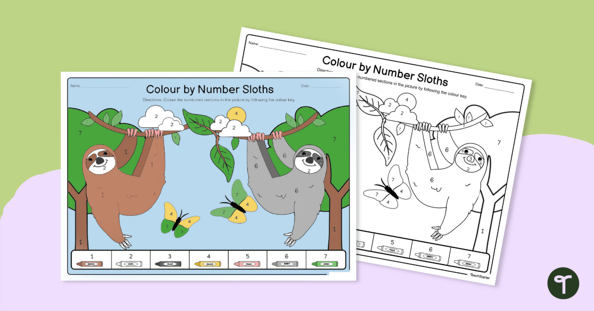 Number Recognition Worksheet - Sloth Colour-by-Number teaching resource
