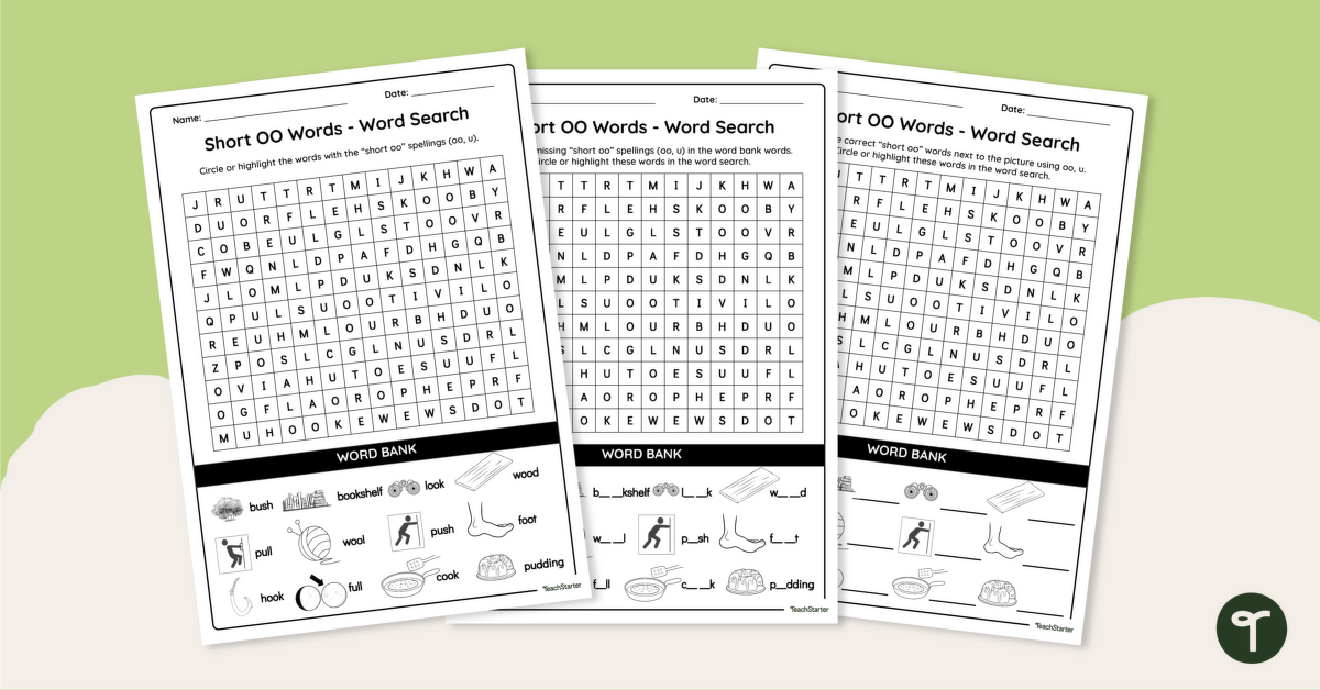 Short OO Words — Word Search teaching resource