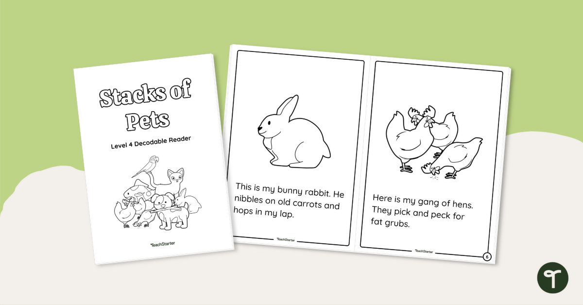 Stacks of Pets - Decodable Reader (Level 4) teaching resource