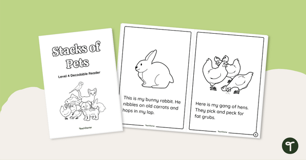 Go to Stacks of Pets - Decodable Reader (Level 4) teaching resource