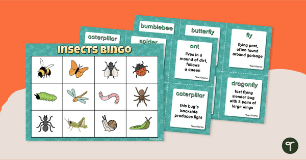Go to Insects for Kids - Bingo Game teaching resource
