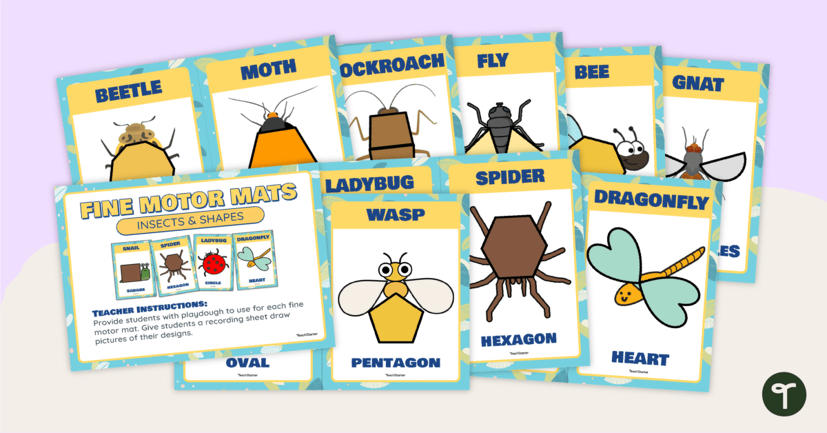 Bug Shapes - Playdoh Mats teaching resource