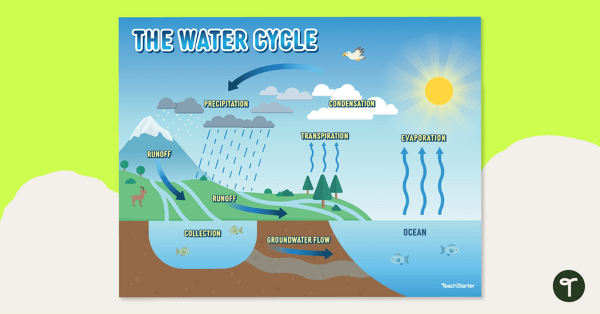 simple water cycle steps