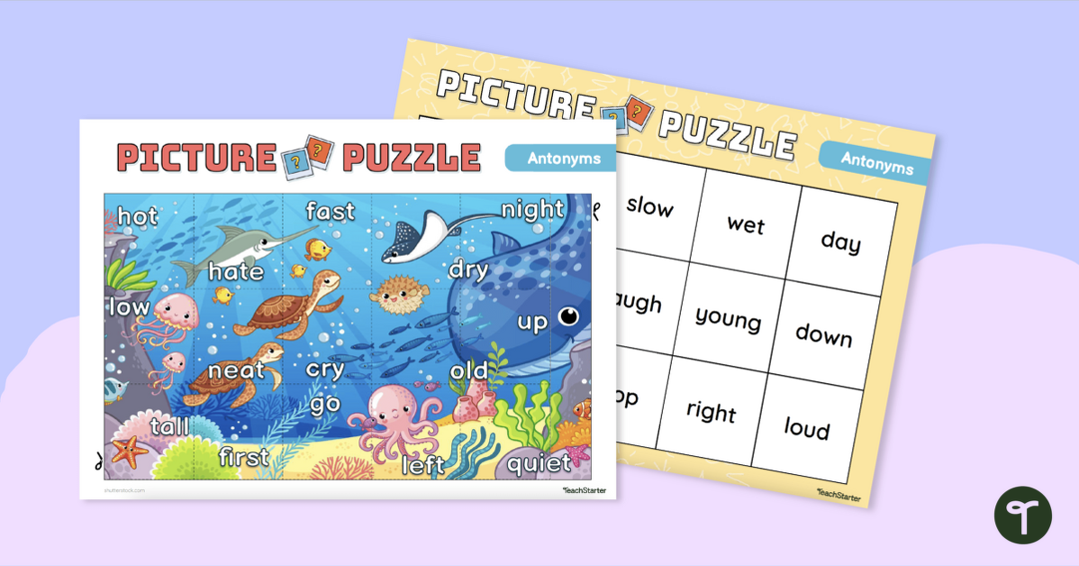 Antonyms Picture Puzzle - Opposite Words teaching resource