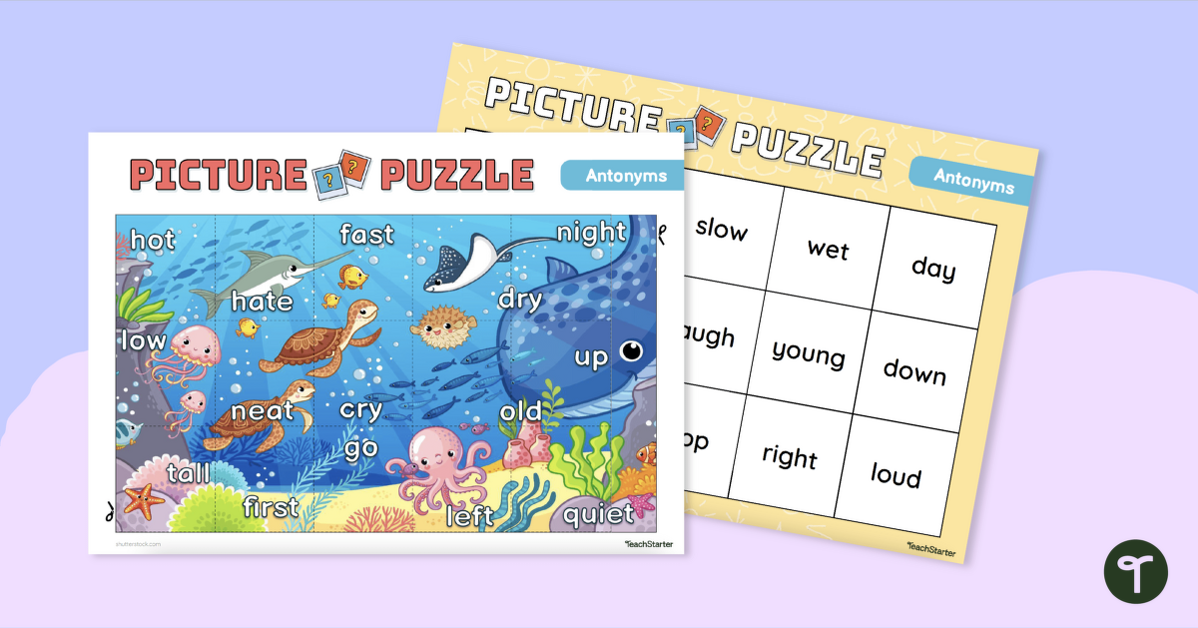 Antonyms Picture Puzzle - Opposite Words teaching-resource