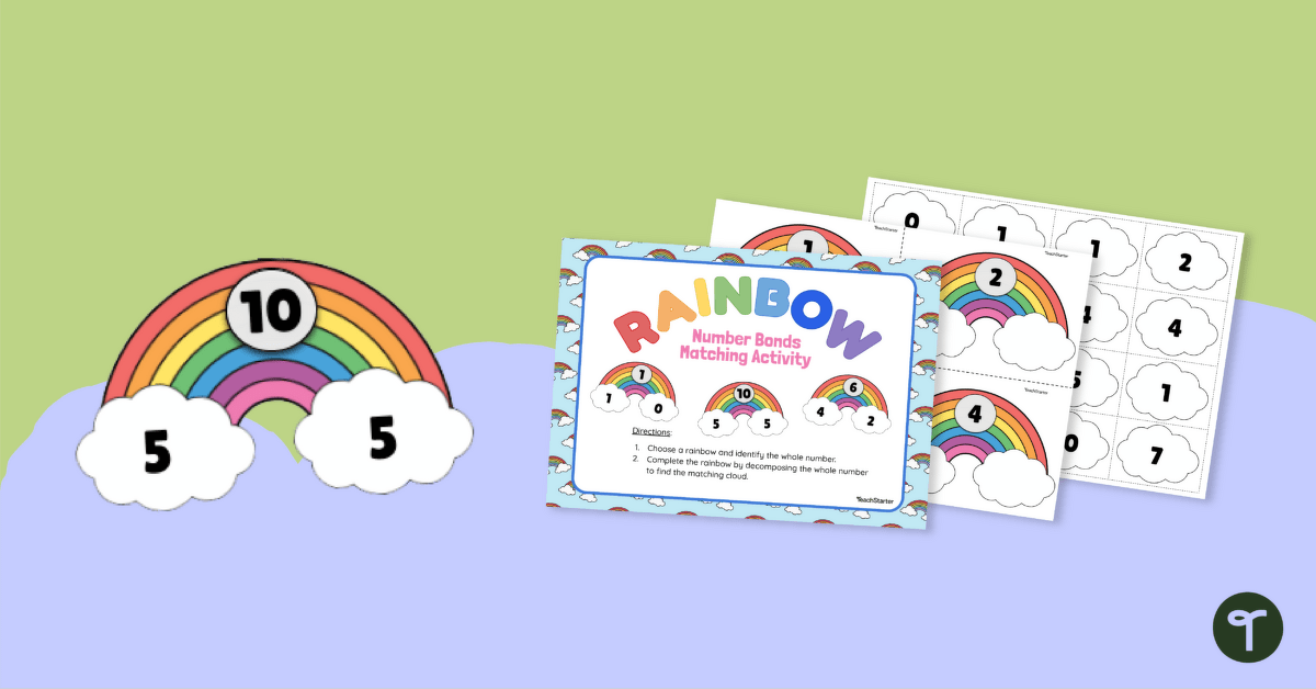 Rainbow Facts Matching Activity teaching resource