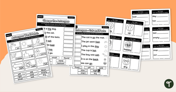Kindergarten Opposites - Worksheet Pack teaching resource
