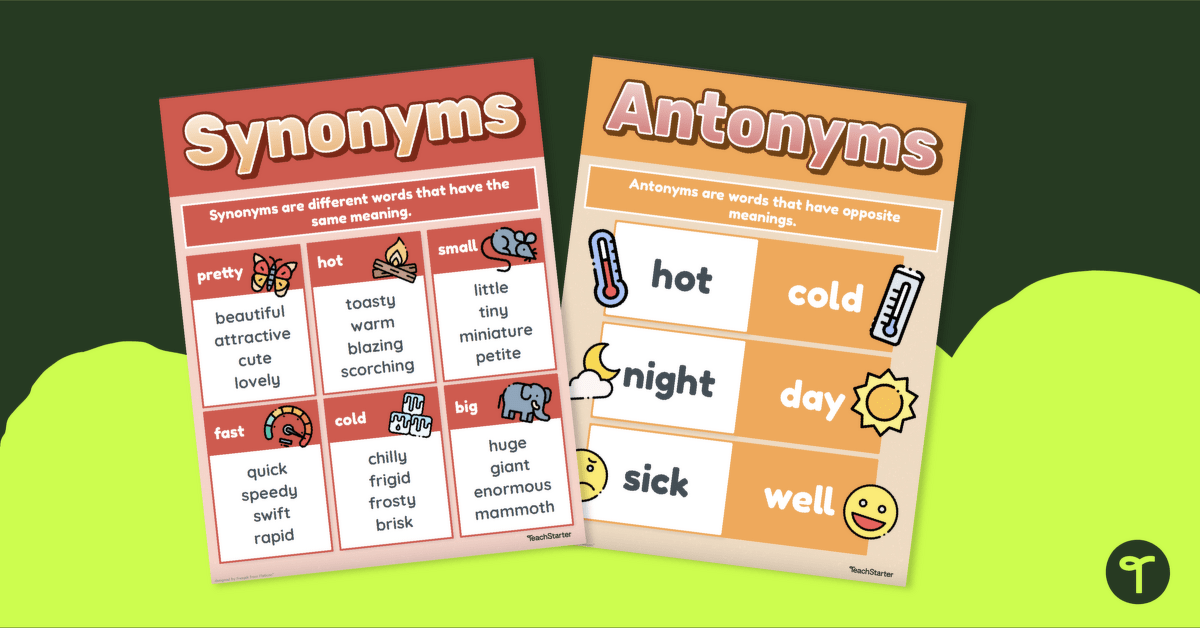Synonym and Antonym Posters teaching resource