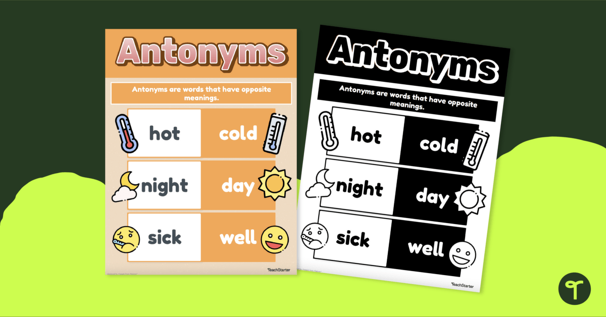 Antonym Poster teaching resource