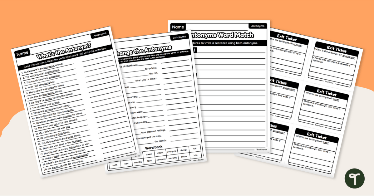 Antonym Worksheets for 2nd and 3rd Grade teaching resource