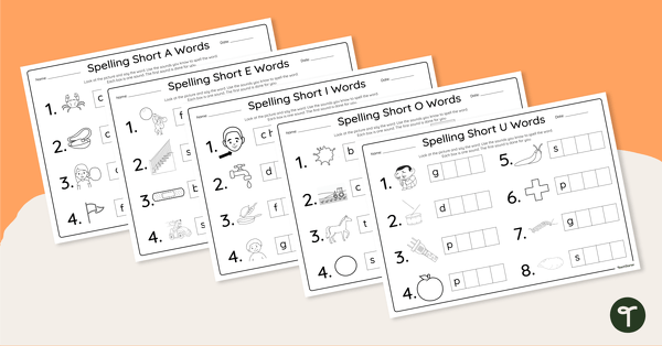 Spelling CCVC Words - Worksheets (Differentiated) teaching resource