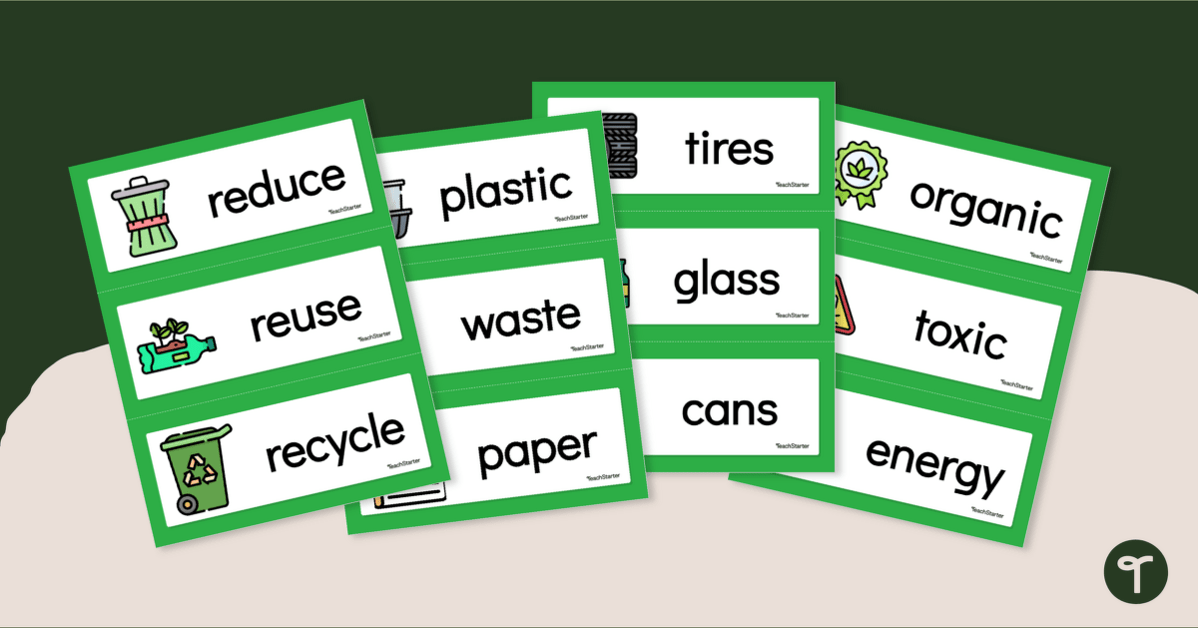 Reduce, Reuse, Recycle - Environmental Word Wall teaching resource