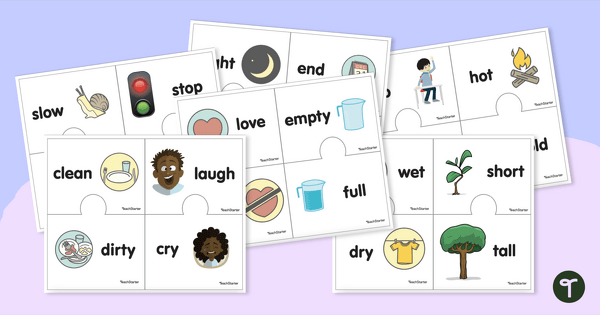 Image of Antonyms Puzzle Activity