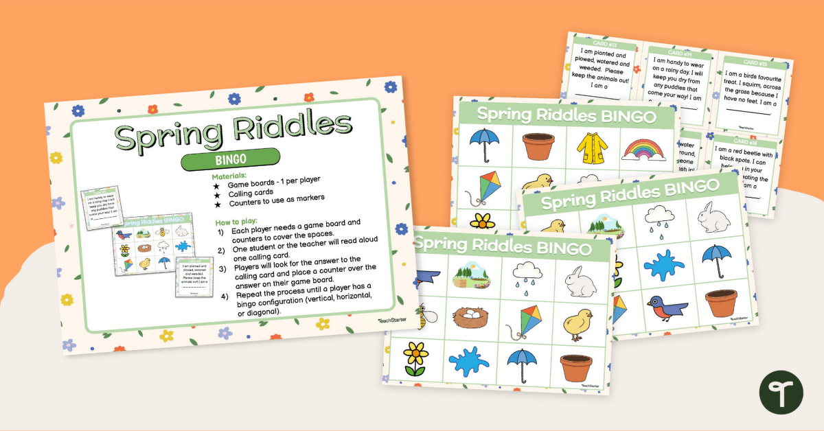 Spring Riddles Bingo teaching resource